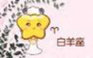 12星座钻戒(十二星座的钻戒)