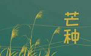 2022年芒种能种玉米吗(2022年芒种能种玉米吗视频)
