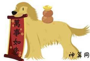 钱包风水属狗(属狗的钱包用什么颜色好)