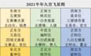 2021年九宫飞星图详解-神算网(2021年九宫飞星图详解)
