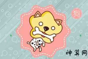 今年属狗的婚姻如何2021(今年属狗的婚姻如何2021年出生)