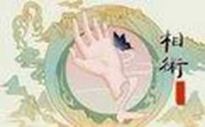 男人手相怎么看财运(男人手相怎么看财运线)
