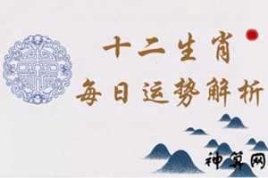 六月十一日运势(六月十一日运势如何)