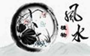 门口风水植物摆件(门口风水摆件)