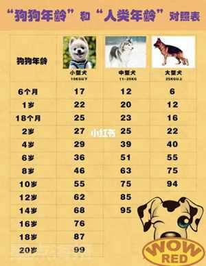 2022属狗的年龄表(2023属狗的年龄表)