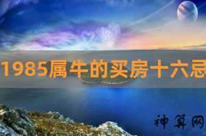 买房买几楼风水好属牛(买房几楼比较好吉利属牛)