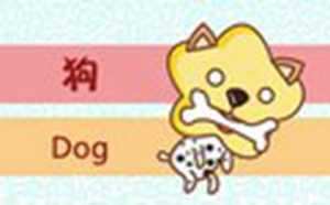82年狗和81年鸡婚姻好不好(82年狗和81年鸡婚姻好不好呢)