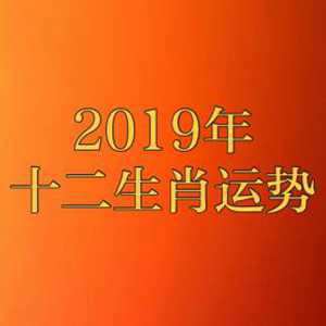 今年哪个生肖财运最好(今年运气好的属相有哪些)