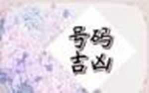 看运势哪个准(看运势看什么)