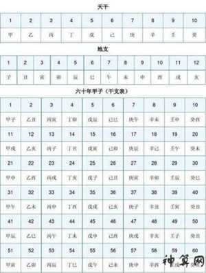 万年历查天干地支年月日时(天干地支日期对照表)