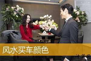 买车颜色风水讲究(买车颜色风水讲究是什么)