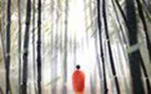 沙发背景墙挂鹿画好不好(沙发背景墙挂什么画对家里风水好)