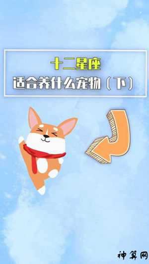 2021运势好到爆的星座女(2021年运势好的星座女)
