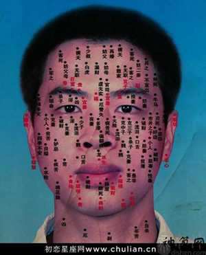 房驭有术免费txt下载全文
