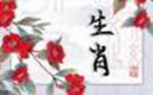 未来二十年大运的星座(十二星座的项链)