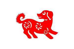 狗和什么生肖合(狗和什么生肖合)