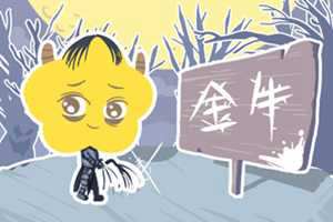 金牛座的三世姻缘分别是哪个星座-神算网(金牛座三是什么意思)