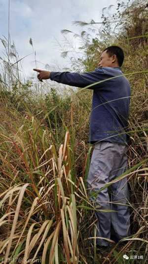 云浮十大风水名地(云浮市风水宝地排名)