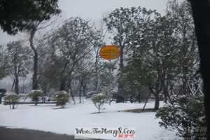 做梦梦见六月下雪(做梦梦见六月下雪是什么征兆)