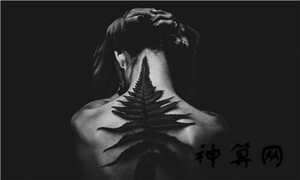 属牛的婚姻感情问题有哪些(属牛的婚姻感情问题有哪些呢)