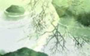 风水不好对家里人影响(风水不好对家里人影响大吗)