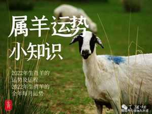79年属羊男2022运势(79年属羊男2022年运势及运程每月运程)