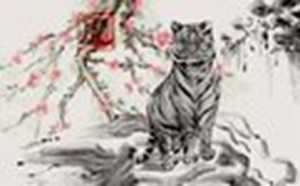 2022年属虎年龄对照表(2022年属虎年龄对照表图片)