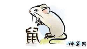 鼠人六月运势(鼠人六月运势怎么样)