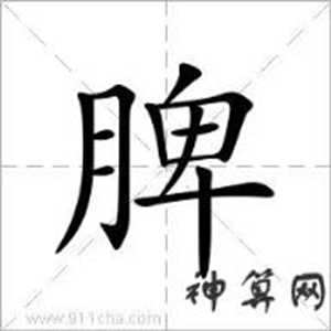 测脾字猜生肖(脾字猜什么生肖)