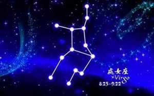 综合实力最强的星座女全能型人才的星座-神算网(全能型人才的星座男)