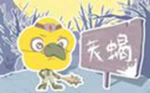天蝎座学什么最有天赋(天蝎女死心了还能挽回吗)