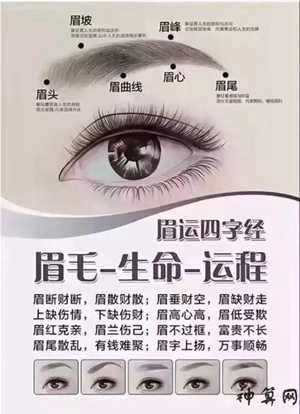 眉毛可以改变风水运气(眉毛可以改变风水运气吗)