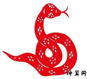 蛇2019的运势详解(蛇2019年运势完整版)