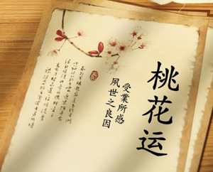卧室放什么最能招桃花(卧室放什么可以招桃花)
