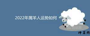1967年羊2019年运势(1967年属羊2019年运势)