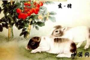 1971属猪人2018运势(属猪1971年2018年运势)