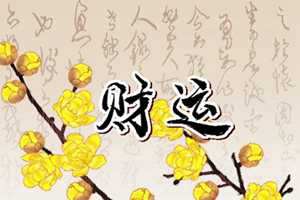 家里摆放发财树的最佳位置(家里摆放发财树的最佳位置和风水)
