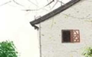 教师资推迟吗2020上半年(教师资推迟吗2020上半年考试)