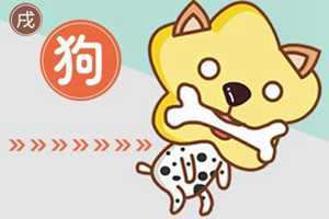 属狗今年的运气和财运怎么样(属狗今年的运气和财运怎么样)