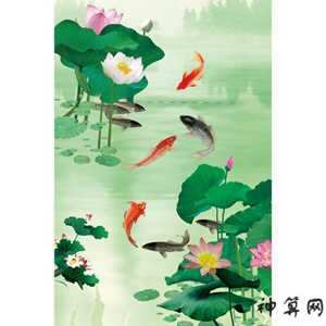 家居荷花图风水(家居荷花图风水讲究)