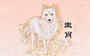 属狗人2022年贵人是谁(2022年属狗的贵人是谁)