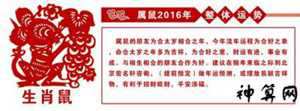 鼠2017的运势运程(鼠2017年运势)