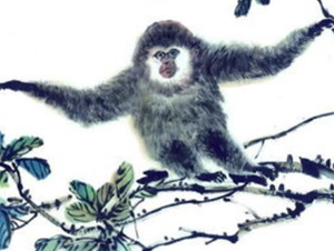 1992年属猴的桃花方位(1992年属猴的桃花方位怎么样)
