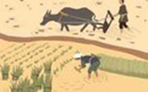 办公室摆放风水有哪些(办公室摆放布局风水)