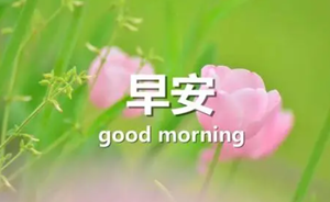 一天一句心情早安语有哪些