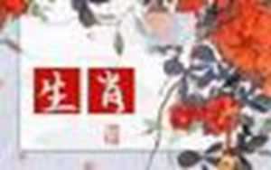 星座婚配和属相婚配-神算网(星座婚配和属相婚配)