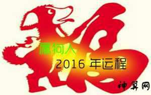 马人2017年逐月运势(马人2017年逐月运势如何)