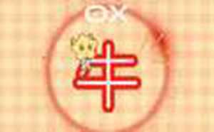 牛狗相刑化解(牛狗相刑化解方法详解)
