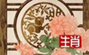 1951年属兔的2020年多少岁(1951年属兔的2020年多大年龄)
