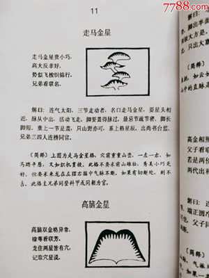杨公风水基础知识(杨公风水基础知识入门自学)